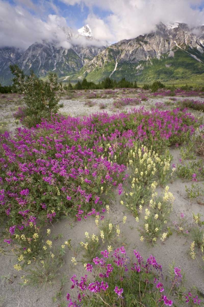 Alaska View of flowers and Fairweather Range art print by Don Paulson for $57.95 CAD