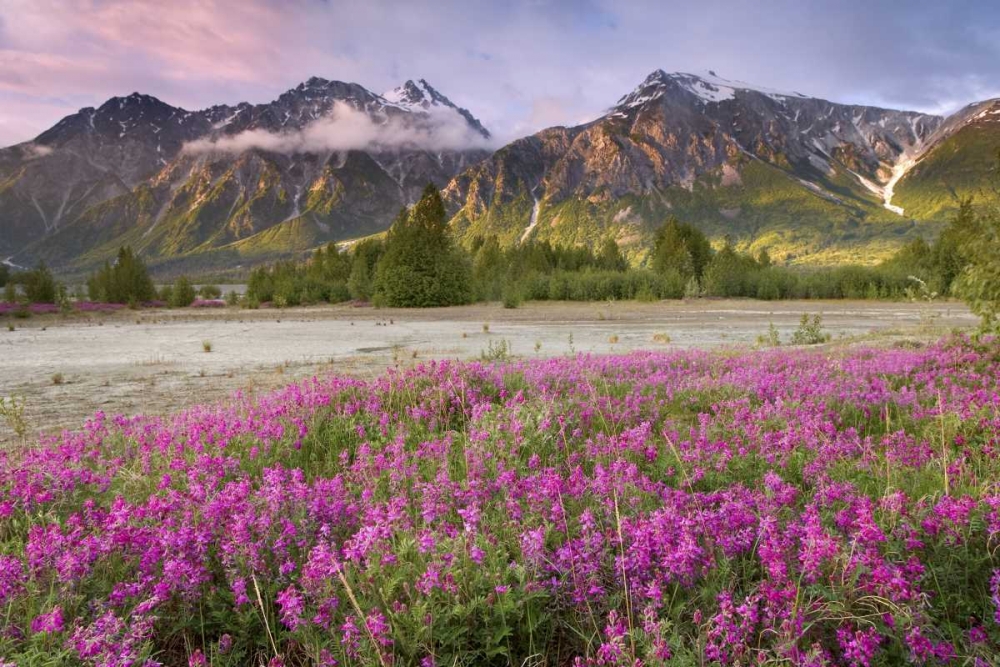 Alaska View of flowers and Fairweather Range art print by Don Paulson for $57.95 CAD