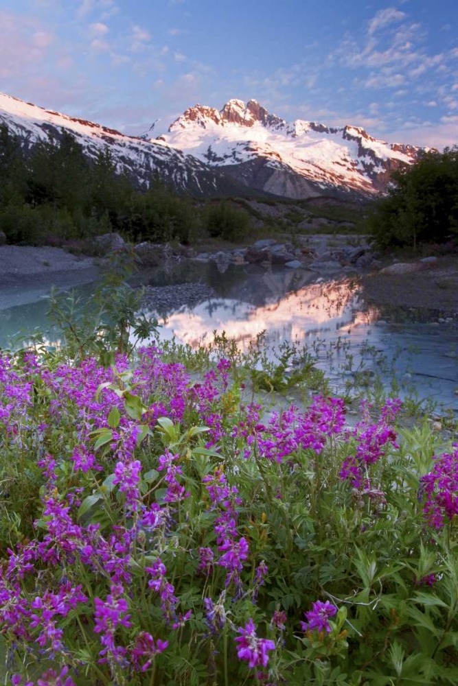 AK, Alsek-Tatshenshini Mountain landscape art print by Don Paulson for $57.95 CAD