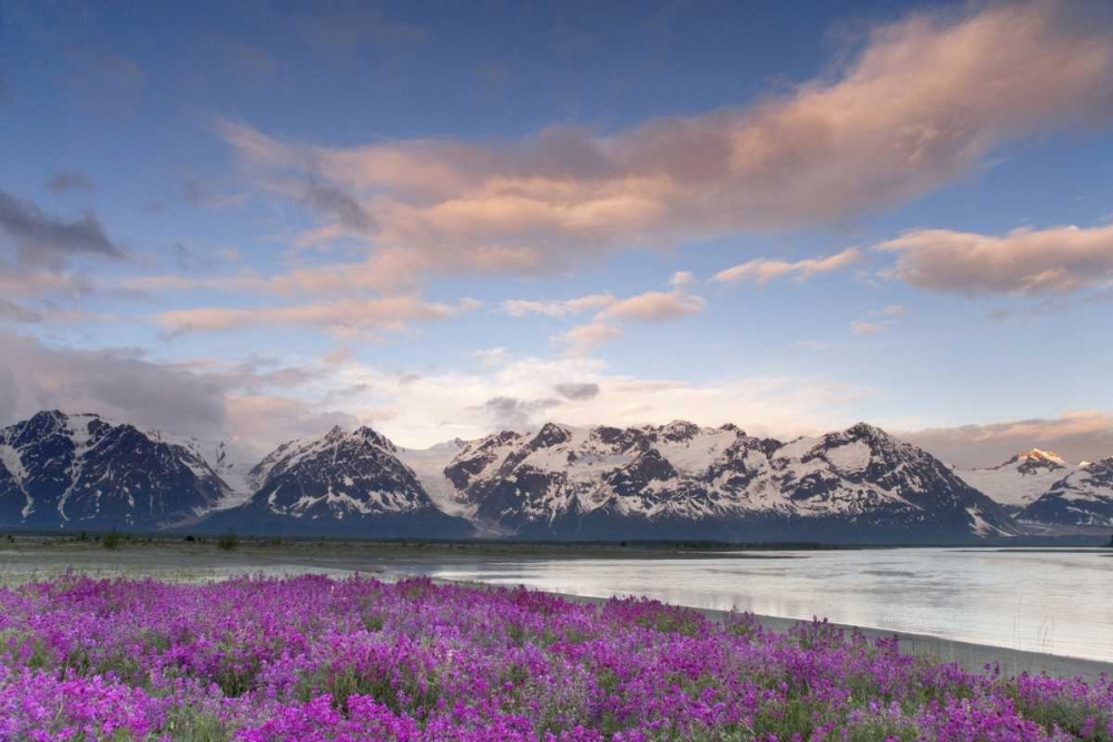 AK, Alsek-Tatshenshini Mountain scenic at sunset art print by Don Paulson for $57.95 CAD
