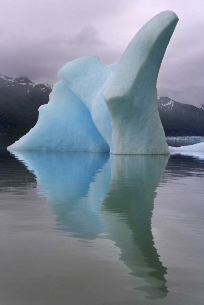 Alaska, Alsek River Valley Iceberg on Alsek Lake art print by Don Paulson for $57.95 CAD