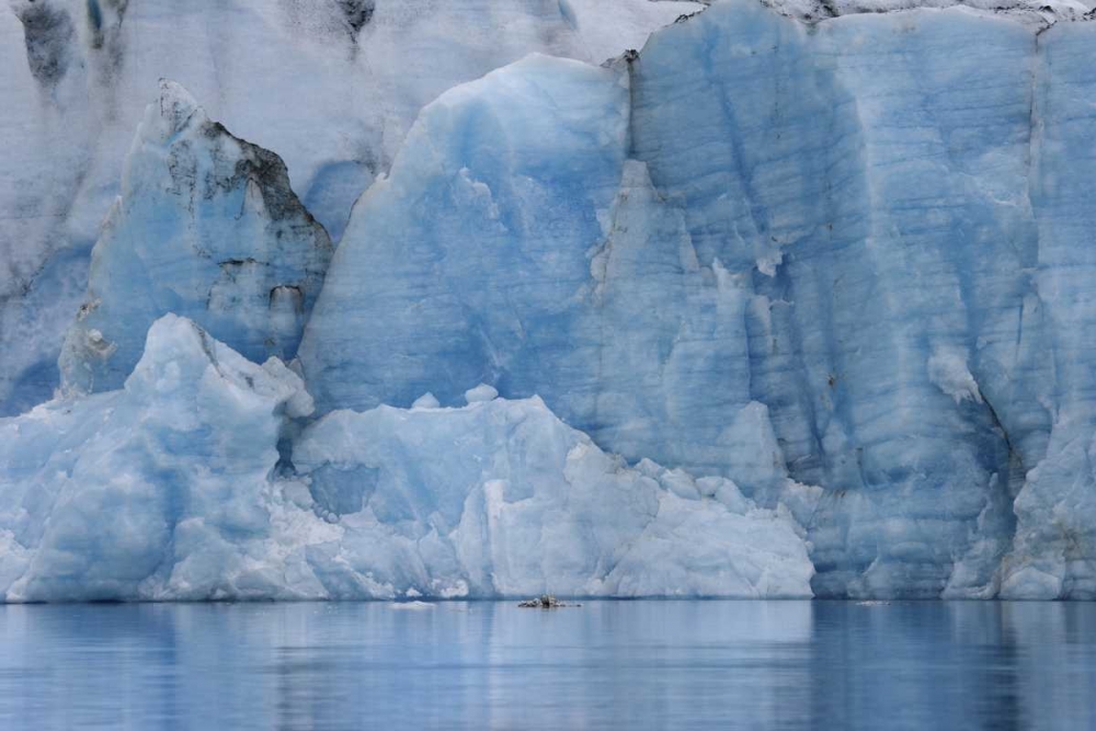 AK, Alsek Lake Blue ice on Great Plain Glacier art print by Don Paulson for $57.95 CAD
