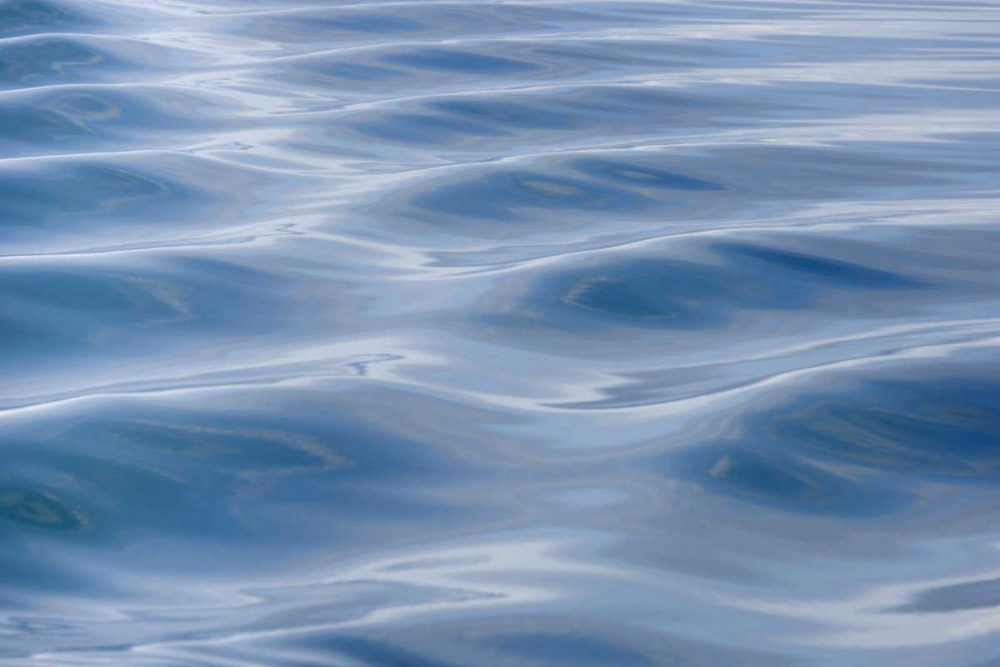 USA, Alaska Detail of boat wake art print by Don Paulson for $57.95 CAD