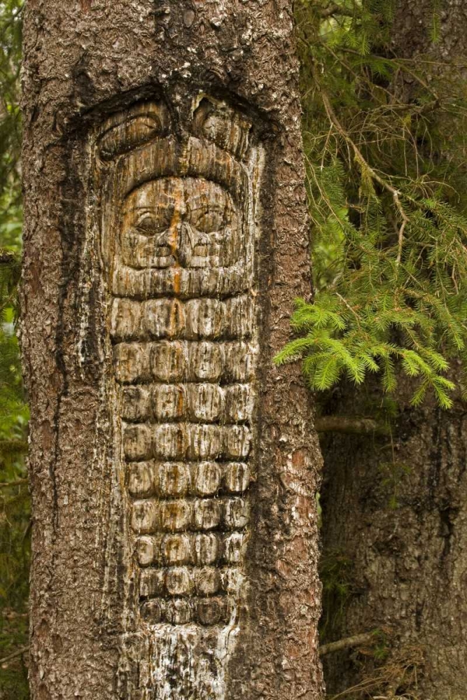 AK, Glacier Bay NP Tree carving of totem art print by Don Paulson for $57.95 CAD