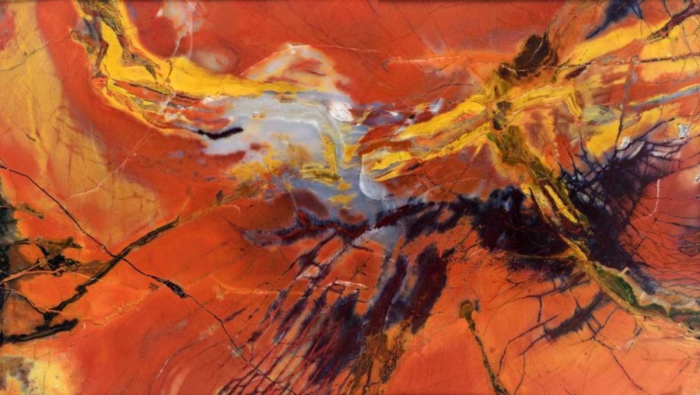 USA, Arizona Close-up of petrified wood art print by Dennis Kirkland for $57.95 CAD