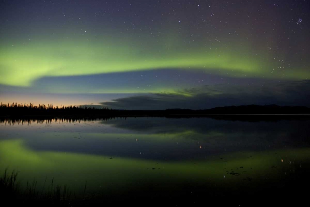 AK, Arctic Circle, Bettles The northern lights art print by Josh Anon for $57.95 CAD