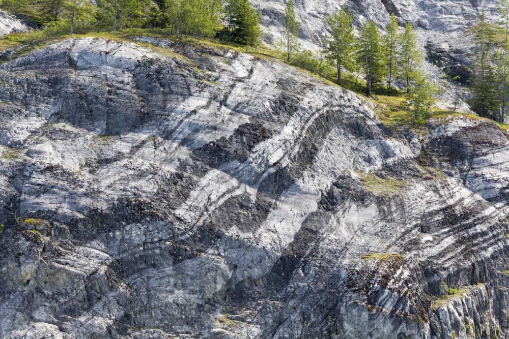 AK, Glacier Bay NP Striated rock on Gloomy Knob art print by Don Paulson for $57.95 CAD