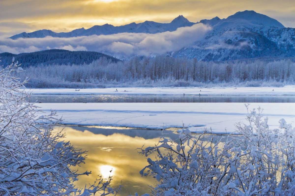 AK, Chilkat Snowy scenic along the Chilkat River art print by Cathy and Gordon Illg for $57.95 CAD