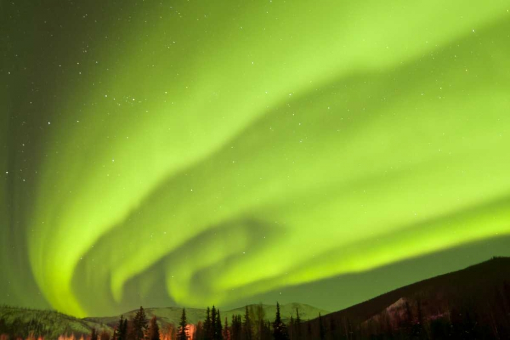 AK, Fairbanks Aurora borealis fill the night sky art print by Cathy and Gordon Illg for $57.95 CAD