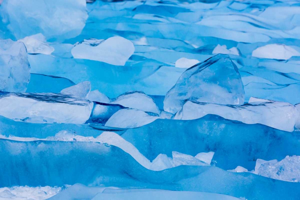 USA, Alaska, Glacier Bay NP Close-up of blue ice art print by Don Paulson for $57.95 CAD
