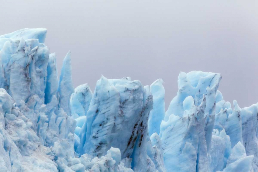 Alaska, Glacier Bay NP Margerie Glacier art print by Don Paulson for $57.95 CAD