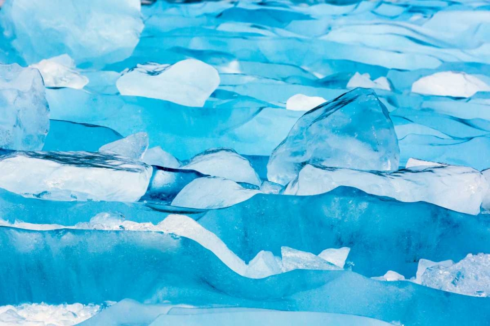 Alaska, Glacier Bay NP Close-up of blue ice art print by Don Paulson for $57.95 CAD