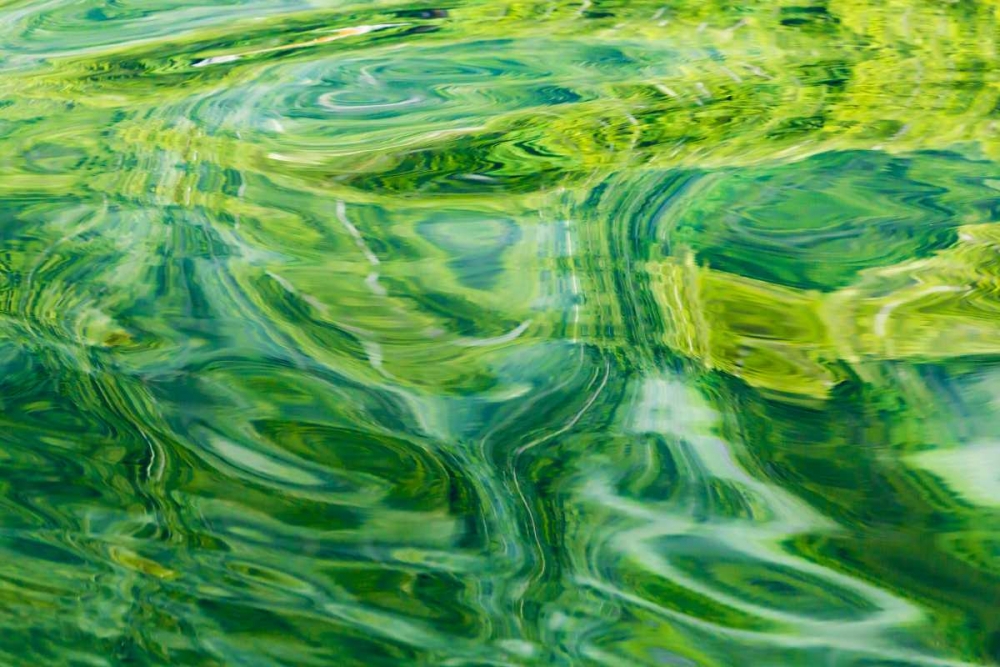 AK, Glacier Bay NP, Dundas Bay Abstract of water art print by Don Paulson for $57.95 CAD