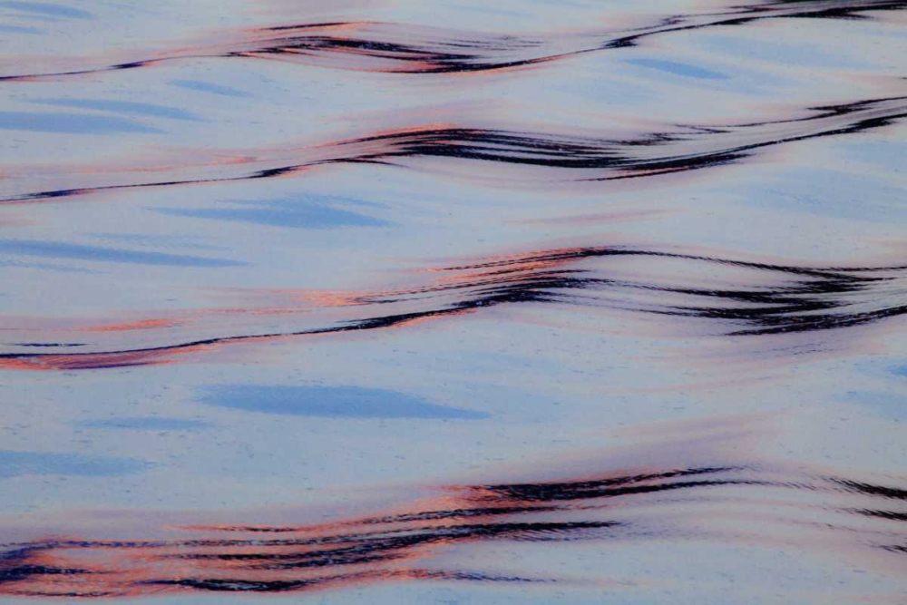 Alaska, Glacier Bay NP Water reflections art print by Don Paulson for $57.95 CAD