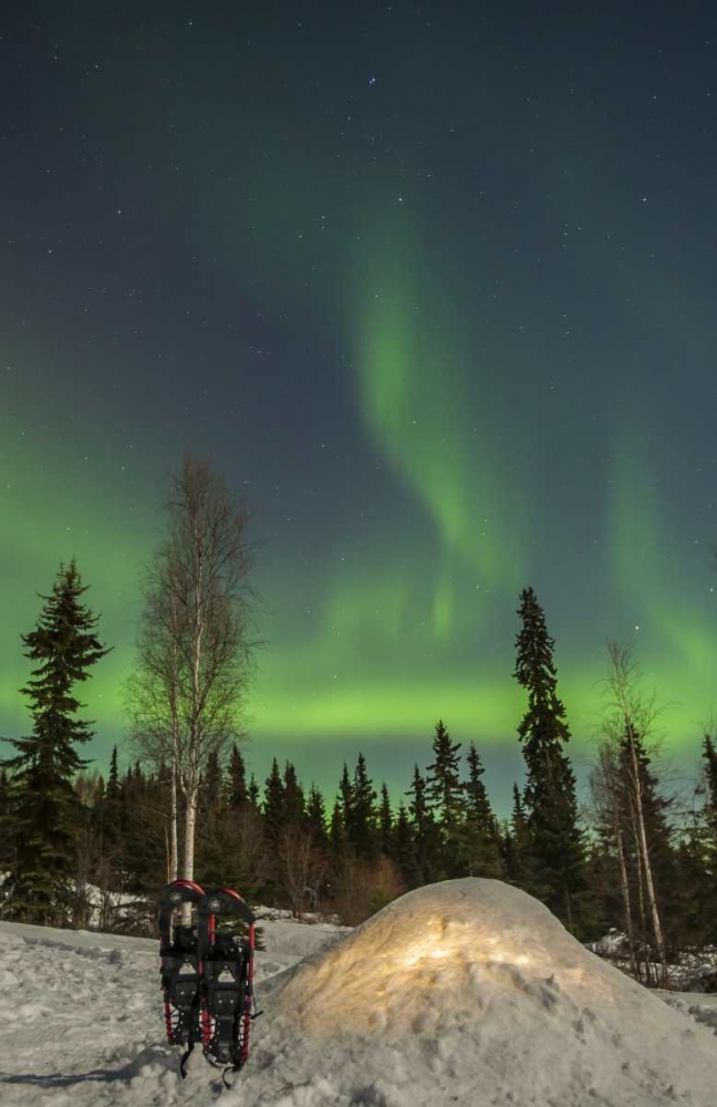 AK A quinzee snow shelter and aurora borealis art print by Cathy and Gordon Illg for $57.95 CAD
