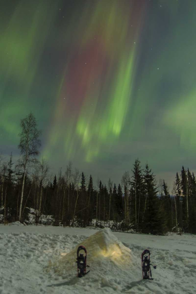 AK A quinzee snow shelter and aurora borealis art print by Cathy and Gordon Illg for $57.95 CAD