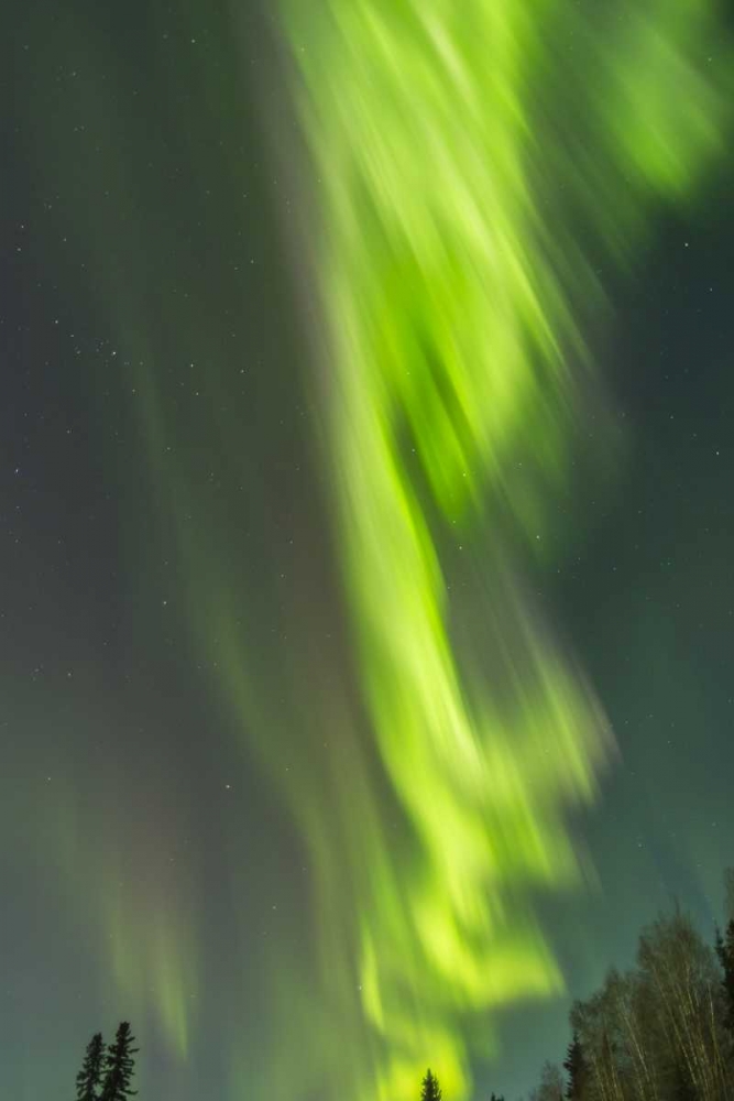 Alaska, Central Alaska, Aurora, Northern Lights art print by Cathy and Gordon Illg for $57.95 CAD