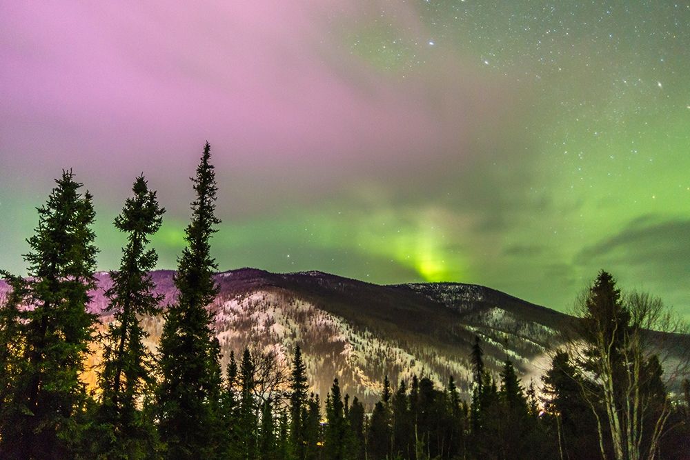 Alaska-Fairbanks Aurora borealis over mountain landscape art print by Jaynes Gallery for $57.95 CAD