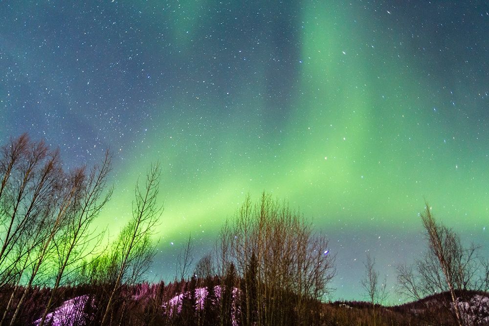 Alaska-Fairbanks Aurora borealis over mountain landscape art print by Jaynes Gallery for $57.95 CAD