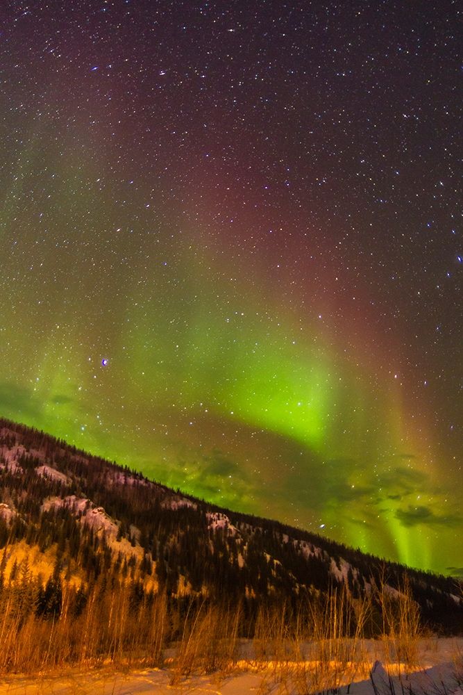 Alaska-Fairbanks Aurora borealis over mountain landscape art print by Jaynes Gallery for $57.95 CAD