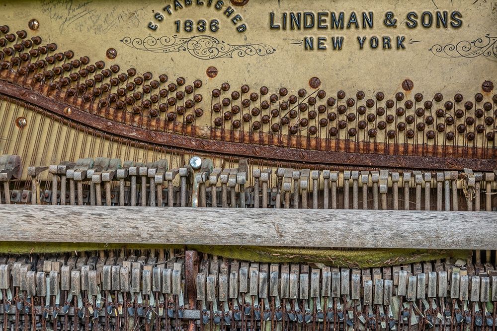 Alaska-Sitka Discarded Lindeman and Sons piano close-up art print by Jaynes Gallery for $57.95 CAD