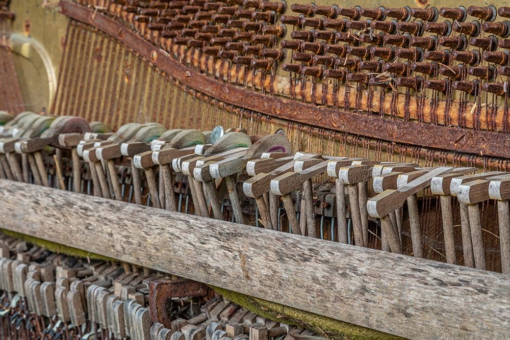 Alaska-Sitka Discarded Lindeman and Sons piano close-up art print by Jaynes Gallery for $57.95 CAD