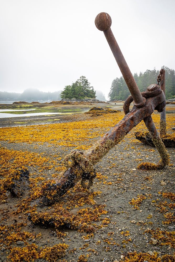 Alaska-Sitka Old anchors at ocean low tide art print by Jaynes Gallery for $57.95 CAD