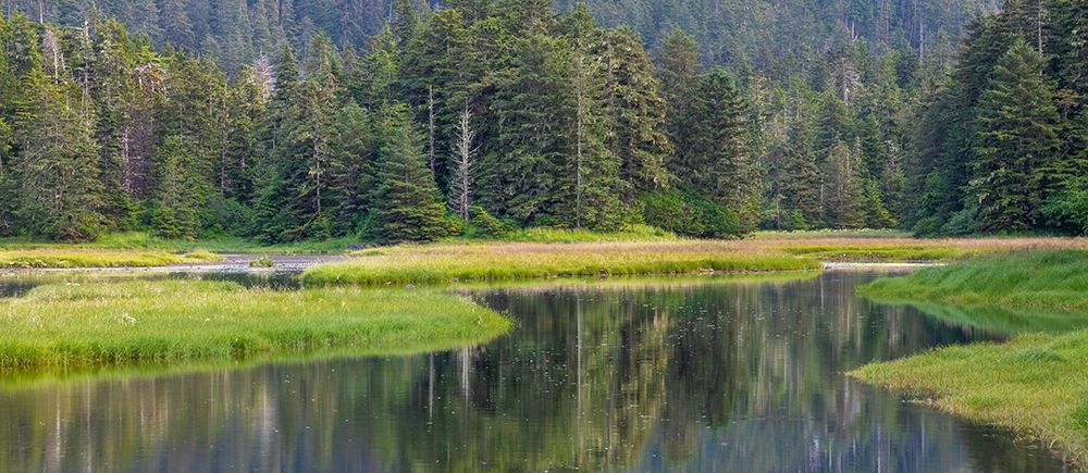 Alaska Panoramic of meadow at high tide in Tongass National Forest art print by Jaynes Gallery for $57.95 CAD