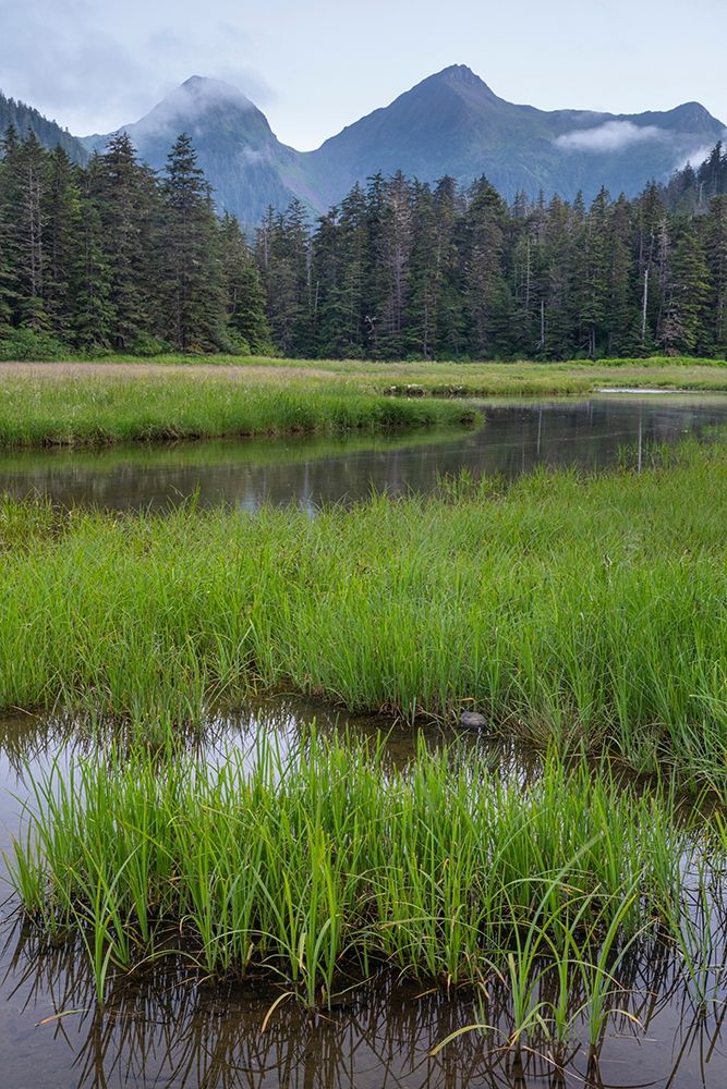 Alaska-Sitka Meadow at high tide in Tongass National Forest art print by Jaynes Gallery for $57.95 CAD