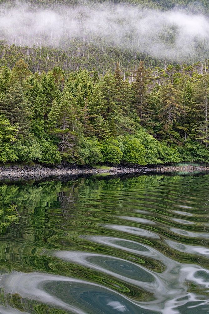 Alaska-Tongass National Forest Boat wake ripples in Mirror Harbor art print by Jaynes Gallery for $57.95 CAD
