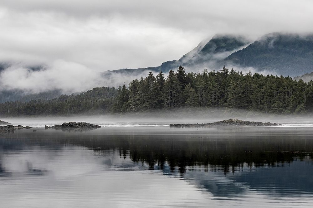 Alaska-Tongass National Forest Reflections in Mirror Harbor art print by Jaynes Gallery for $57.95 CAD