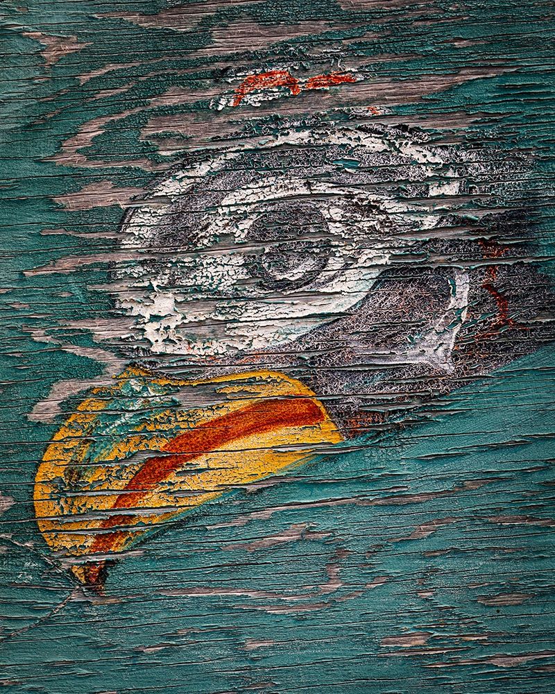 Alaska-Pelican Weathered painting of bird head art print by Jaynes Gallery for $57.95 CAD