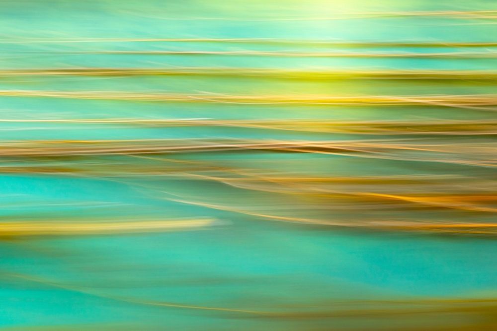 Alaska-Inian Islands Abstract of kelp in motion art print by Jaynes Gallery for $57.95 CAD