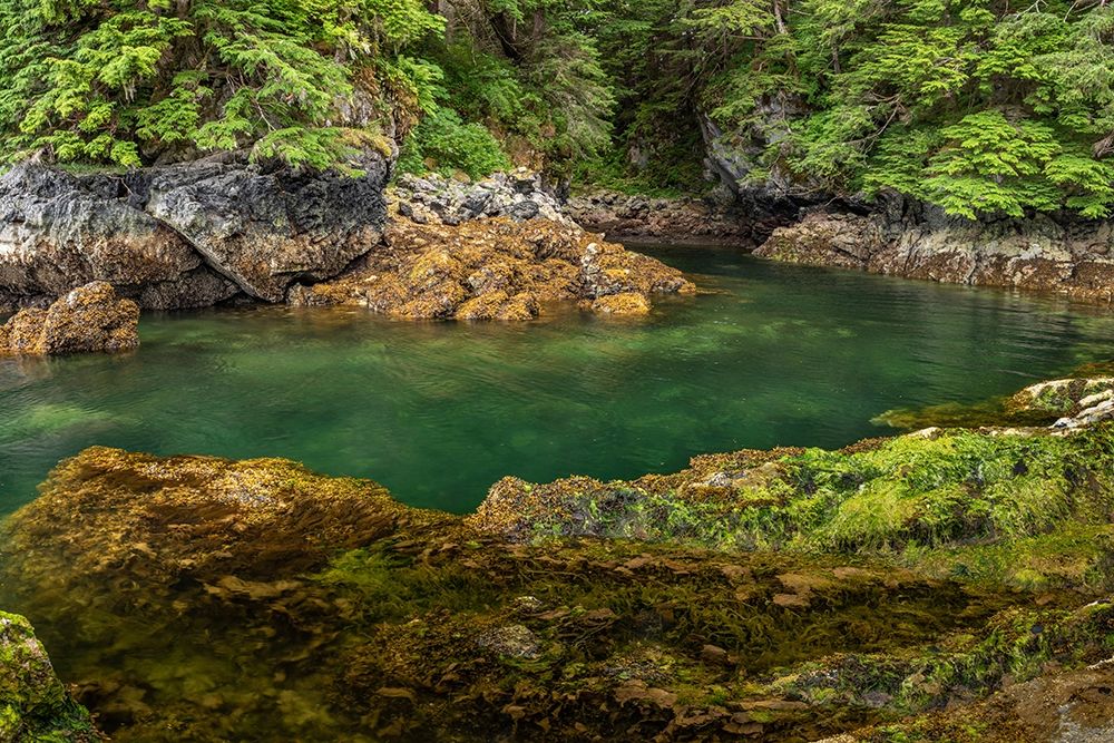 Alaska-Chichagof Island Basket Creek scenic art print by Jaynes Gallery for $57.95 CAD