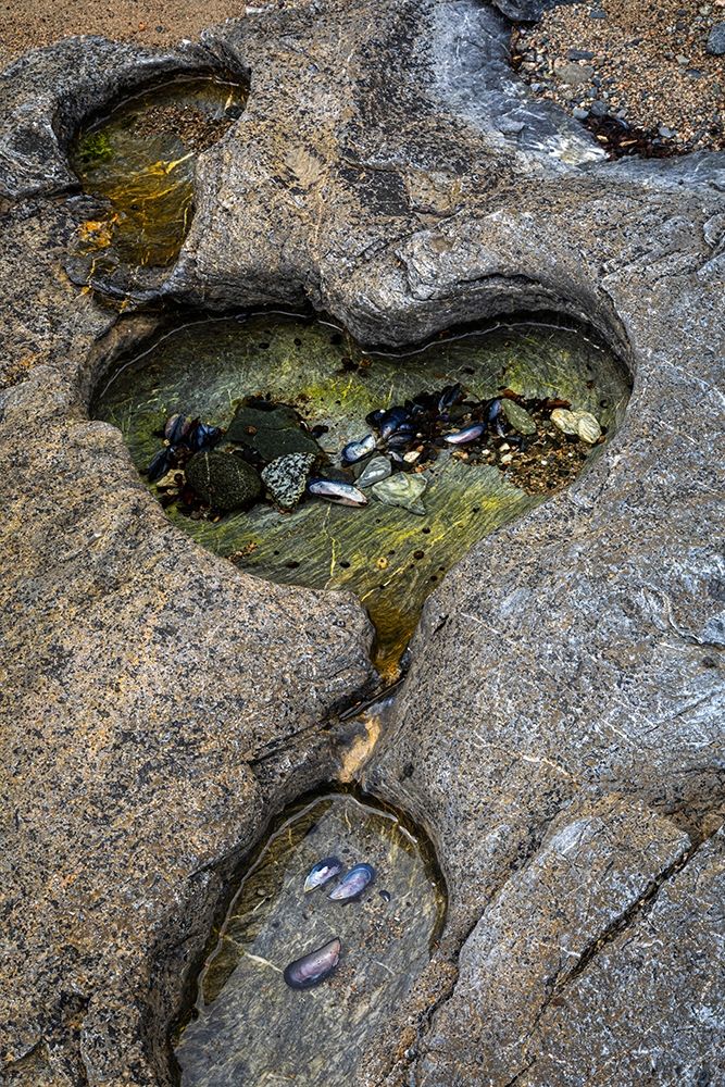 Alaska-Chichagof Island-Basket Bay Heart-shaped pool in rock art print by Jaynes Gallery for $57.95 CAD