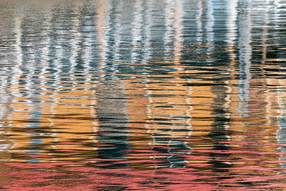 Alaska-Elfin Cove Reflections in the harbor water art print by Jaynes Gallery for $57.95 CAD