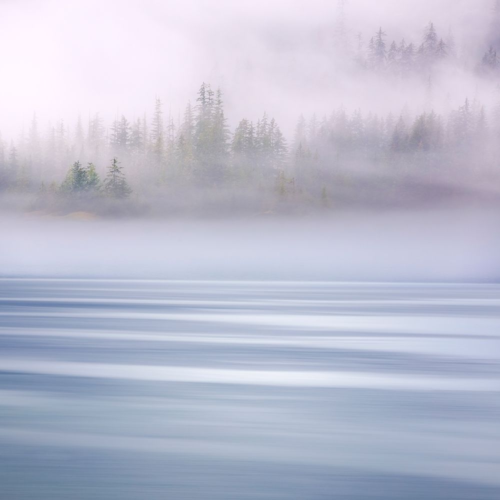 Alaska-Endicott Arm Foggy morning at Fords Terror art print by Jaynes Gallery for $57.95 CAD