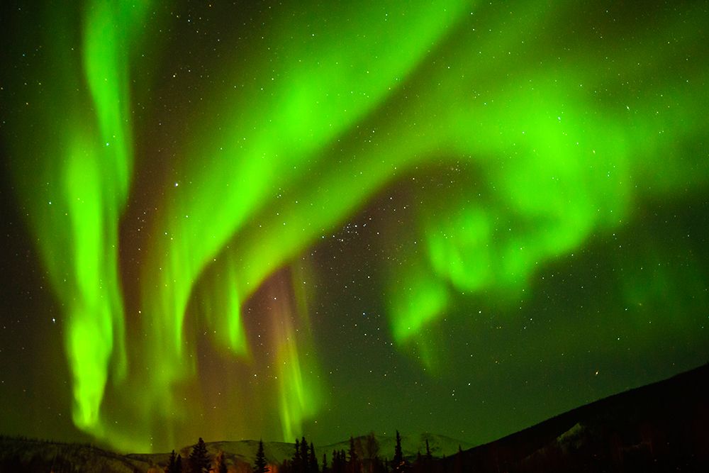 USA-Alaska-Chena Hot Springs Resort Aurora borealis fills night sky art print by Jaynes Gallery for $57.95 CAD