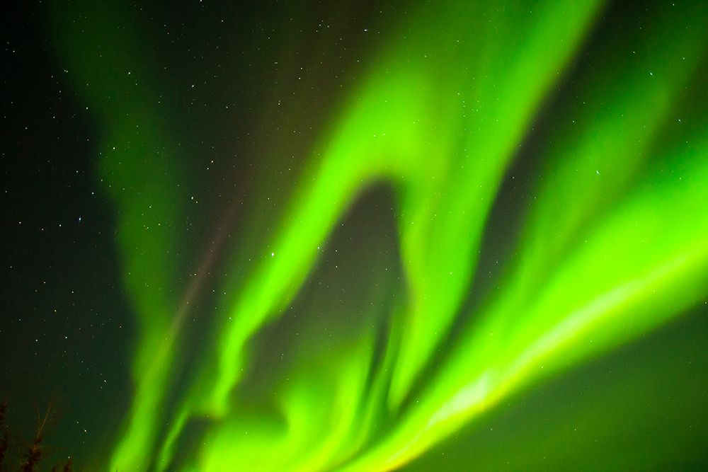 USA-Alaska-Chena Hot Springs Resort Aurora borealis fills night sky art print by Jaynes Gallery for $57.95 CAD
