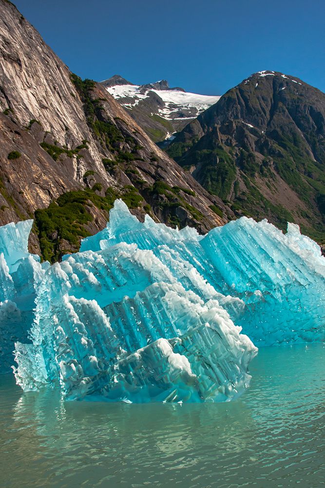 USA-Alaska-Tongass National Forest Icebergs in Endicott Arm inlet art print by Jaynes Gallery for $57.95 CAD