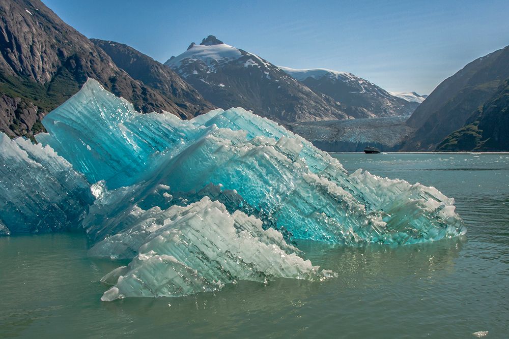 USA-Alaska-Tongass National Forest Icebergs in Endicott Arm inlet art print by Jaynes Gallery for $57.95 CAD