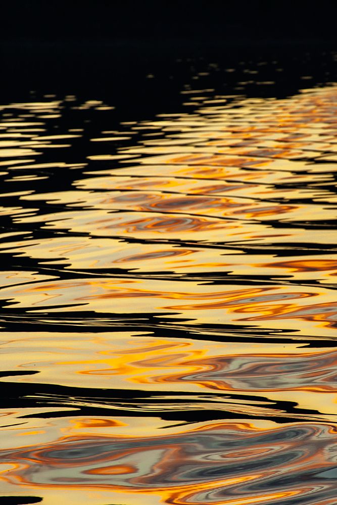 USA-Alaska-Tongass National Forest Sunset reflections on inlet water art print by Jaynes Gallery for $57.95 CAD