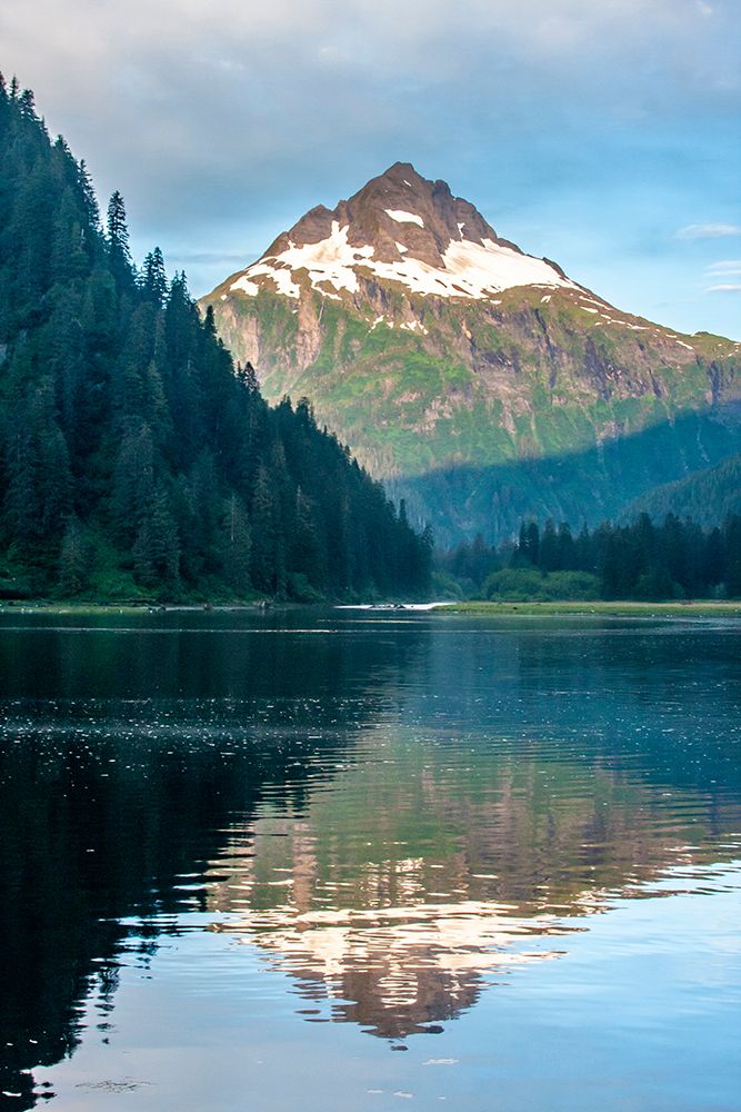 USA-Alaska-Tongass National Forest Mountain and forest reflections on Red Bluff Bay art print by Jaynes Gallery for $57.95 CAD