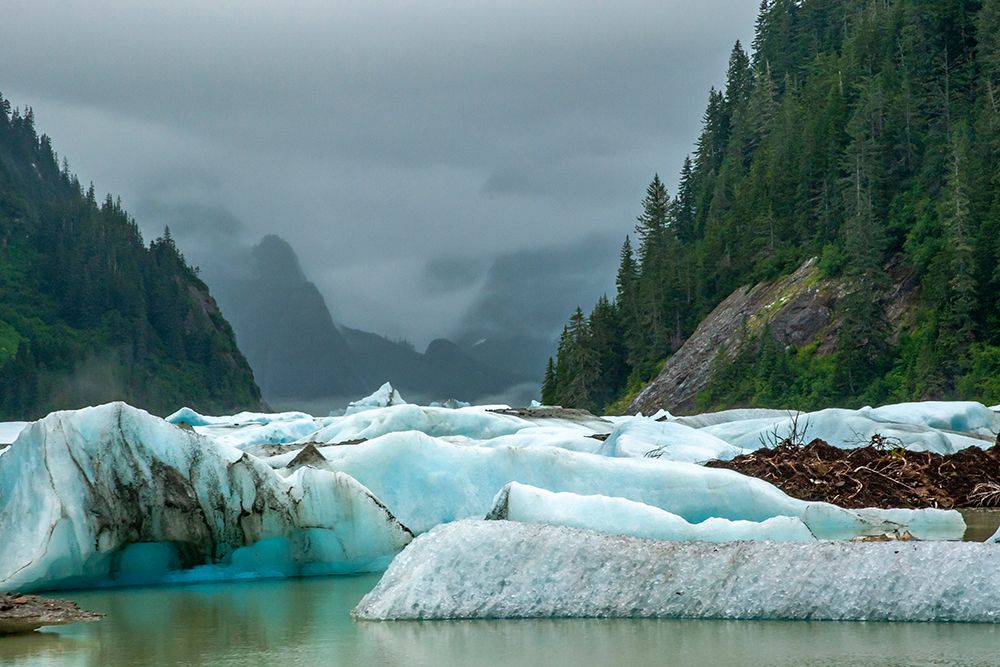 USA-Alaska-Tongass National Forest Icebergs in Shakes Lake art print by Jaynes Gallery for $57.95 CAD