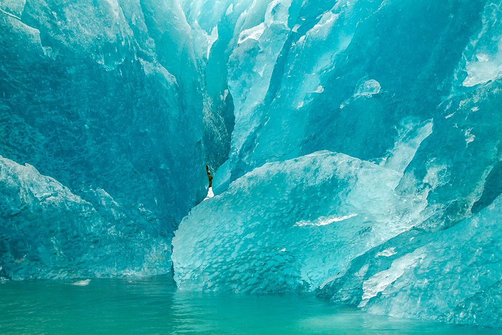 USA-Alaska-Glacier Bay National Park Icebergs from McBride Glacier art print by Jaynes Gallery for $57.95 CAD