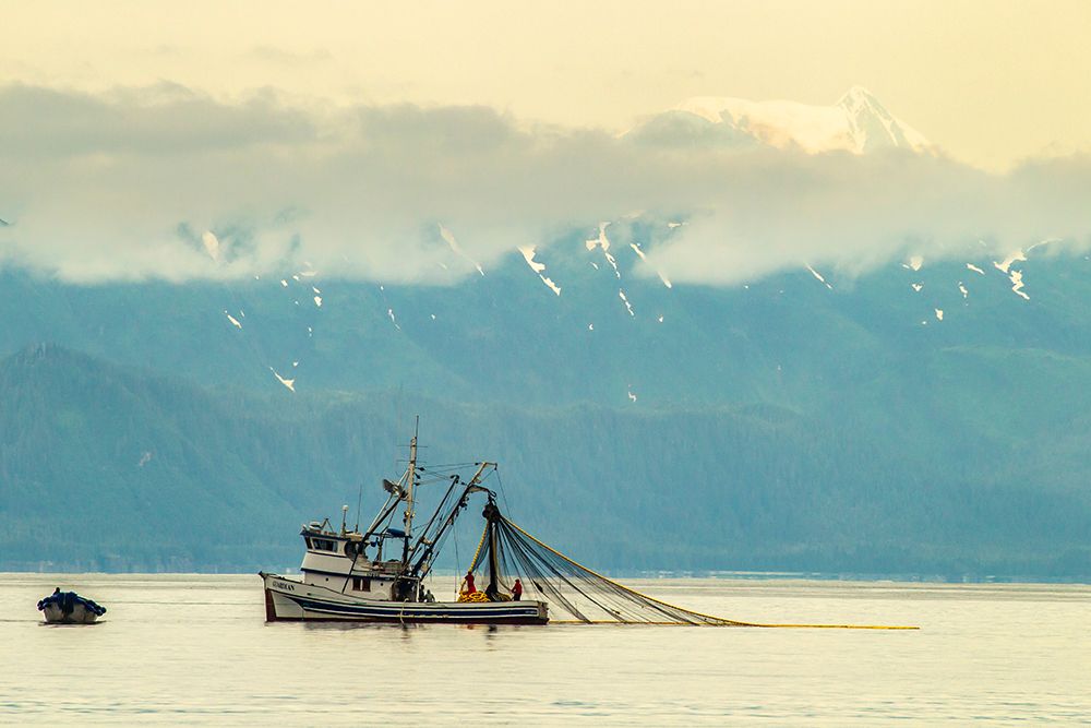 USA-Alaska-Tongass National Forest Salmon fishing boat with net art print by Jaynes Gallery for $57.95 CAD