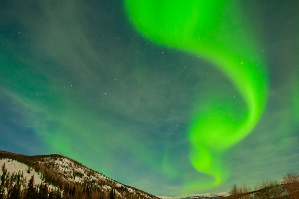 USA-Alaska-Chena Hot Springs Resort Aurora borealis and stars in night sky art print by Jaynes Gallery for $57.95 CAD