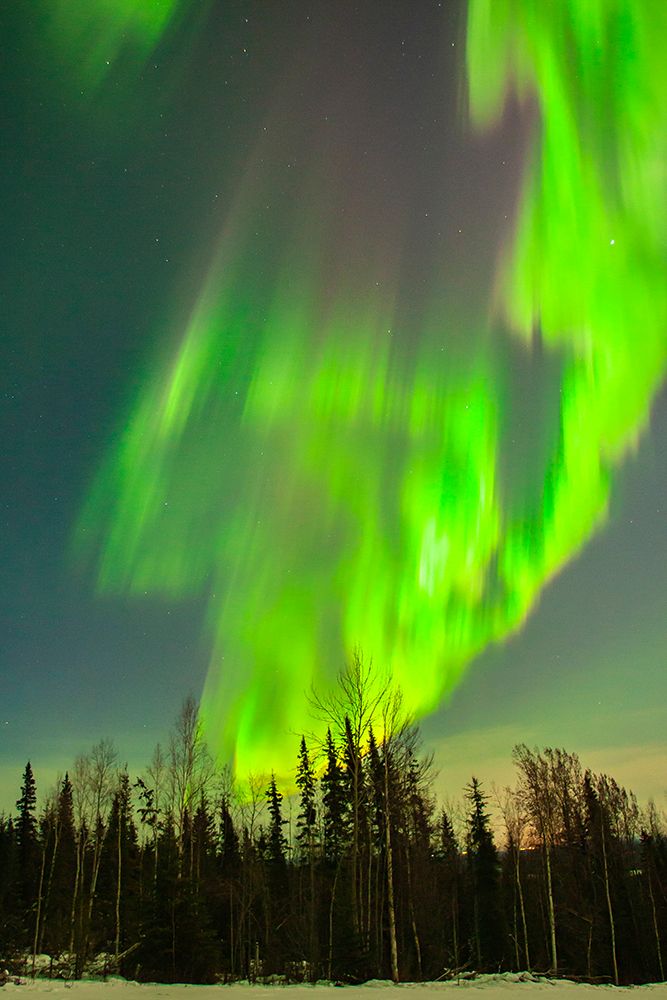 USA-Alaska Aurora borealis and forest at sunset art print by Jaynes Gallery for $57.95 CAD