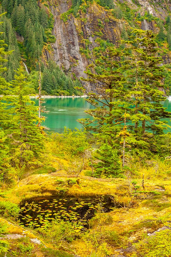 USA-Alaska-Tongass National Forest Landscape with pond-inlet-and mountain art print by Jaynes Gallery for $57.95 CAD