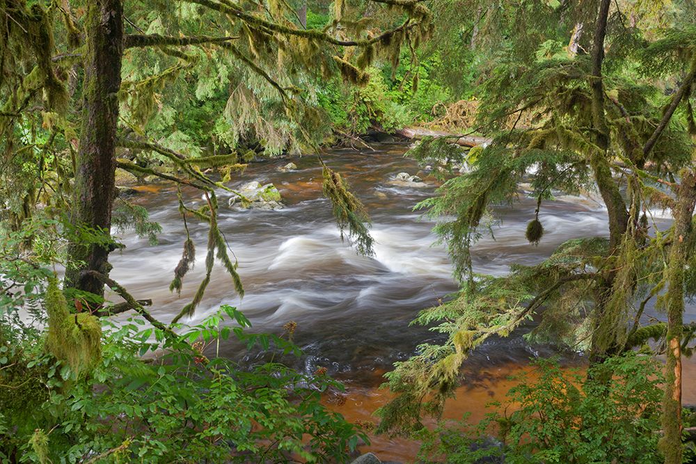 USA, Alaska, Anan Creek. Scenic with rapids and trees. art print by Jaynes Gallery for $57.95 CAD